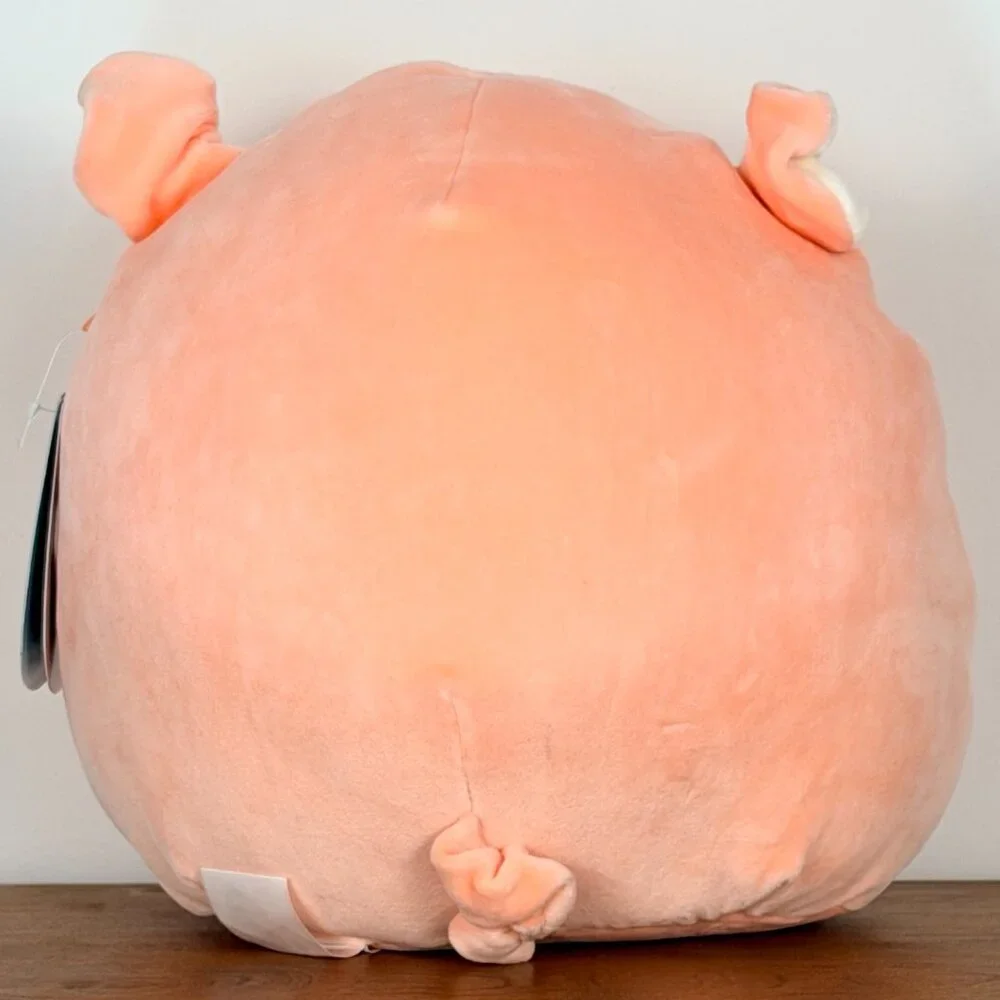 Squishmallows this squishmallow